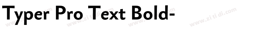 Typer Pro Text Bold字体转换